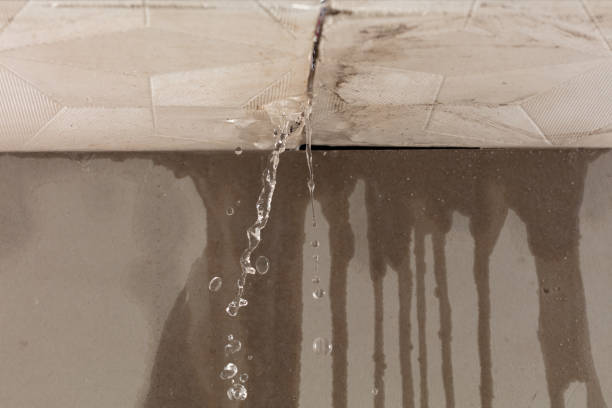 Professional Water Damage Inspection technician working in Orgas, WV